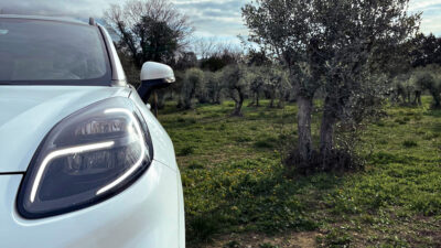 Olive trees trialled for creating automotive parts
